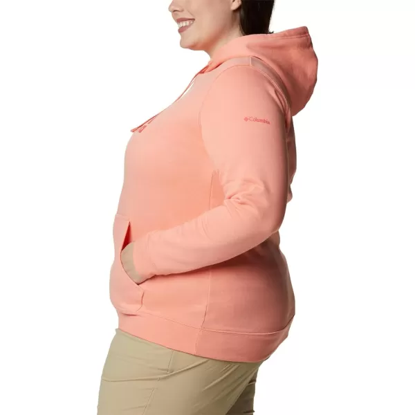 imageColumbia Womens Trek Graphic HoodieCoral ReefRainbow