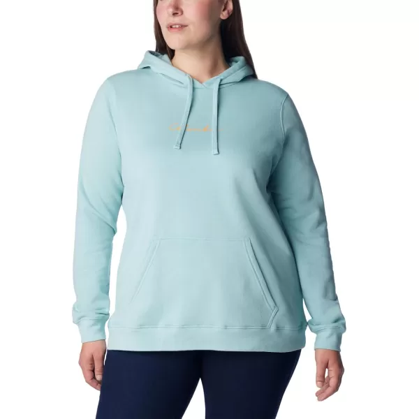 imageColumbia Womens Trek Graphic HoodieGreen