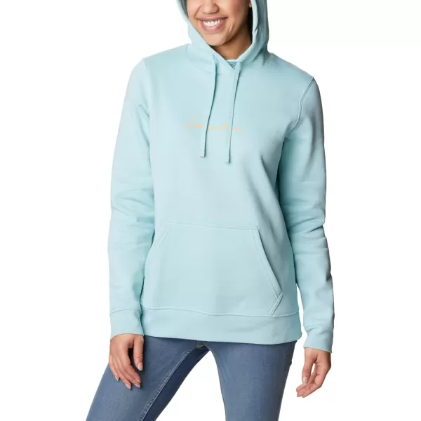 imageColumbia Womens Trek Graphic HoodieGreen