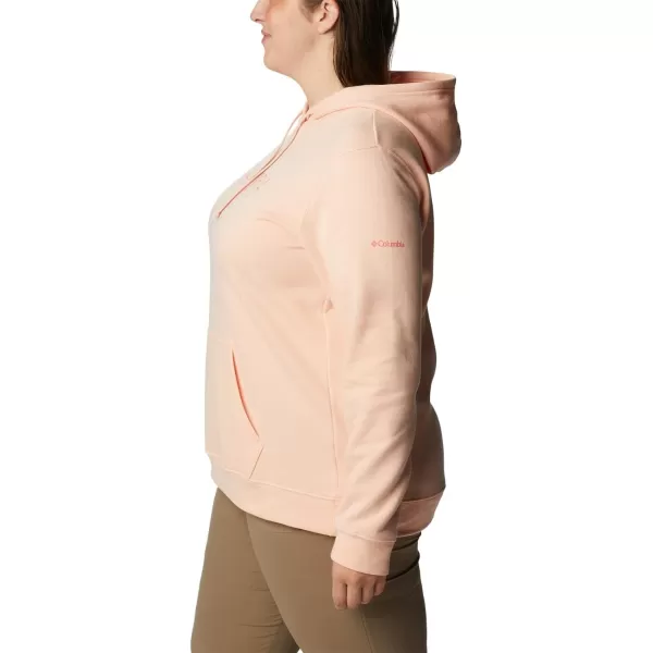 imageColumbia Womens Trek Graphic HoodiePeach BlossomColumbia Stencil