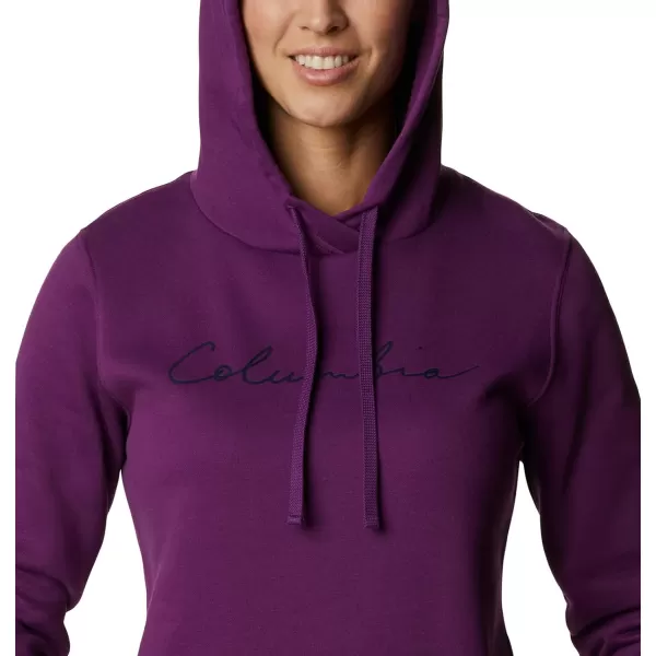 imageColumbia Womens Trek Graphic HoodiePlumScript Logo