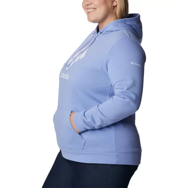 imageColumbia Womens Trek Graphic HoodieSerenityStacked Gem