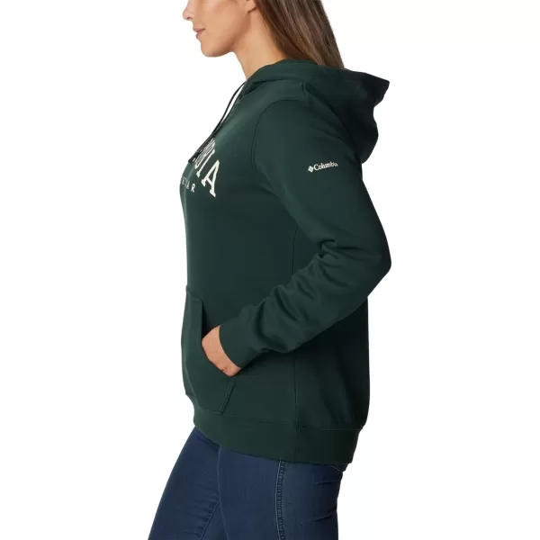 imageColumbia Womens Trek Graphic HoodieSpruceCsc Collegiate