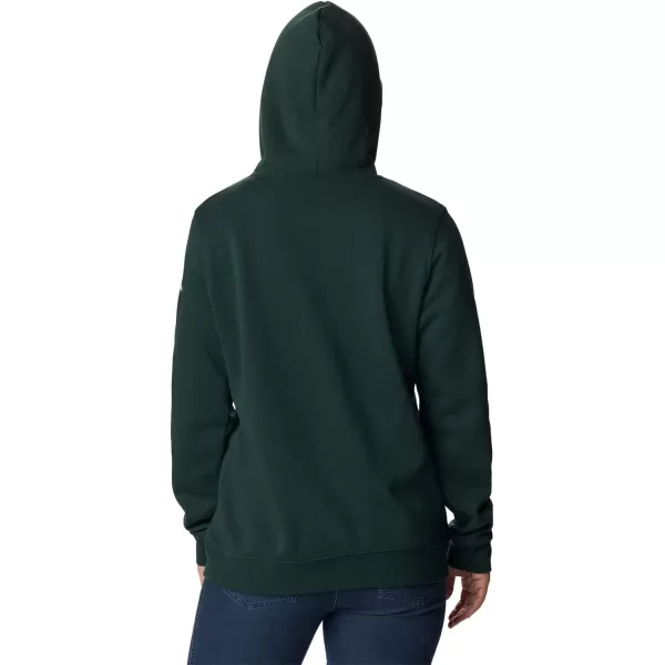 imageColumbia Womens Trek Graphic HoodieSpruceCsc Collegiate