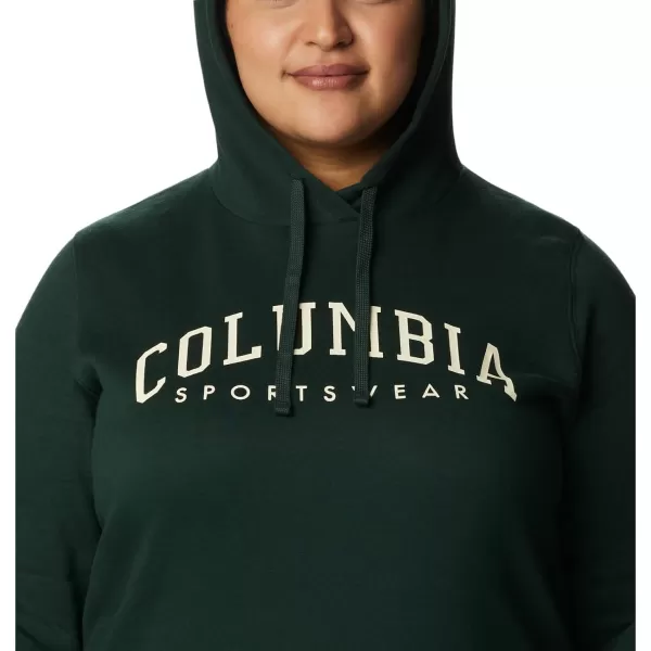 imageColumbia Womens Trek Graphic HoodieSpruceCsc Collegiate