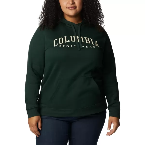imageColumbia Womens Trek Graphic HoodieSpruceCsc Collegiate