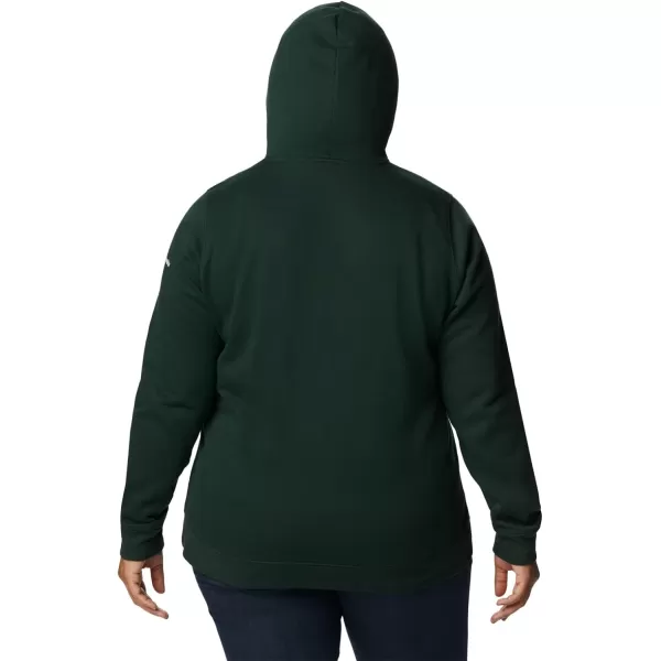 imageColumbia Womens Trek Graphic HoodieSpruceCsc Collegiate