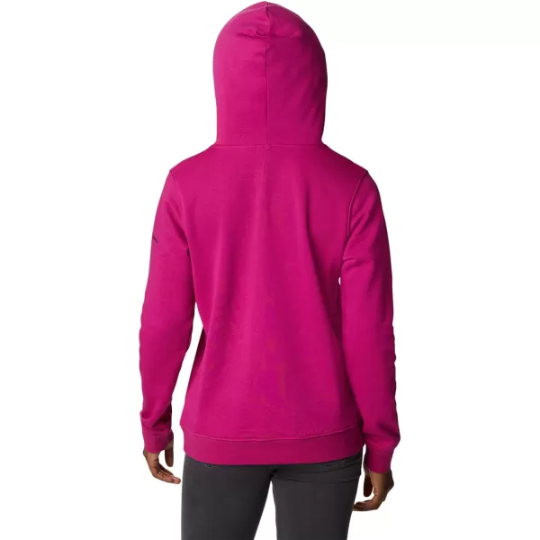 imageColumbia Womens Trek Graphic HoodieWild FuchsiaStacked Gem