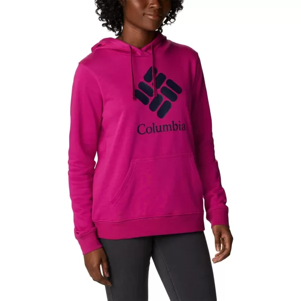 imageColumbia Womens Trek Graphic HoodieWild FuchsiaStacked Gem
