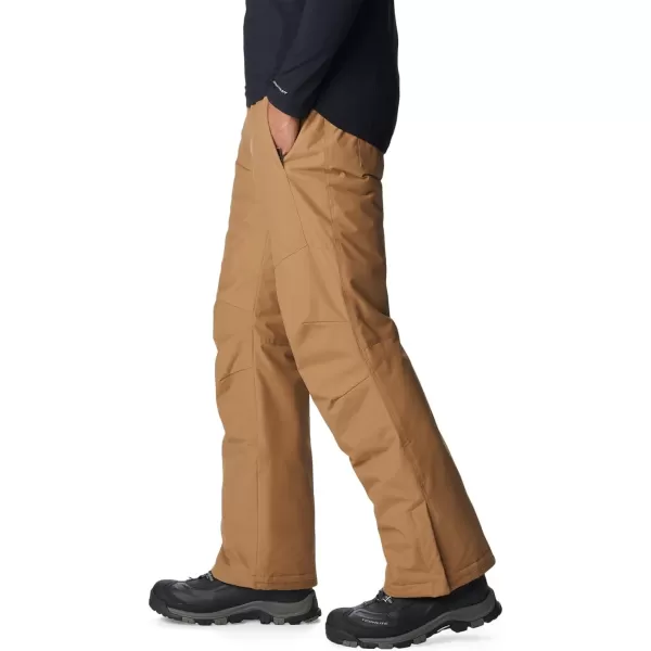 imageColumbia mens Bugaboo IV Snow PantDelta
