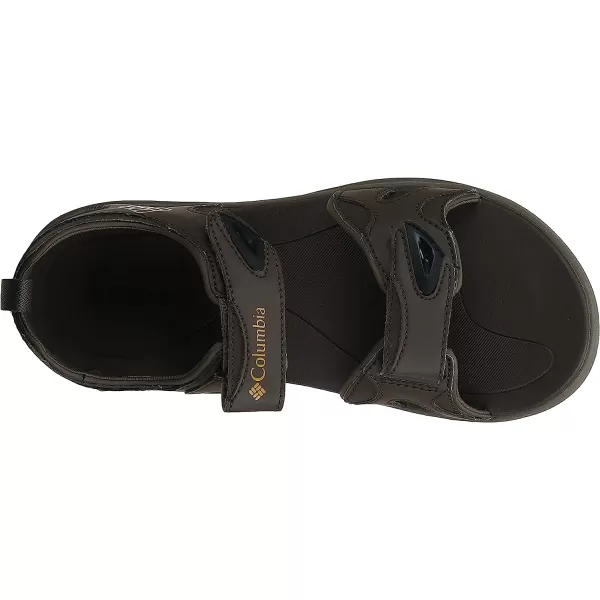 imageMens Columbia 2 Strap All Terrain SandalCordovanCurry