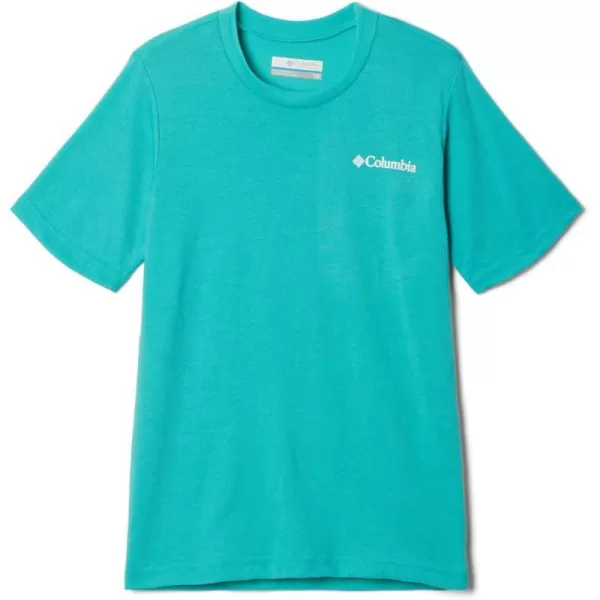 imageColumbia Boys La Poudre Pass Short Sleeve TeeBright AquaPatriotic Pines Graphic