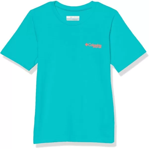 imageColumbia Boys PFG Short Sleeve Graphic TeeOcean TealPfg Elements Graphic