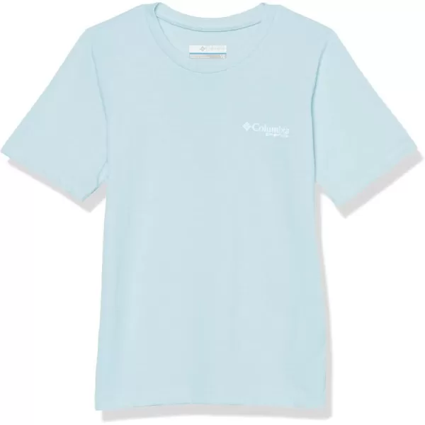 imageColumbia Boys PFG Short Sleeve Graphic TeeSpring BlueFish Flag Fade Graphic