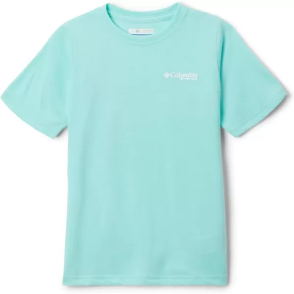 Gulf Stream/Pfg Y Diamond Bit Gem