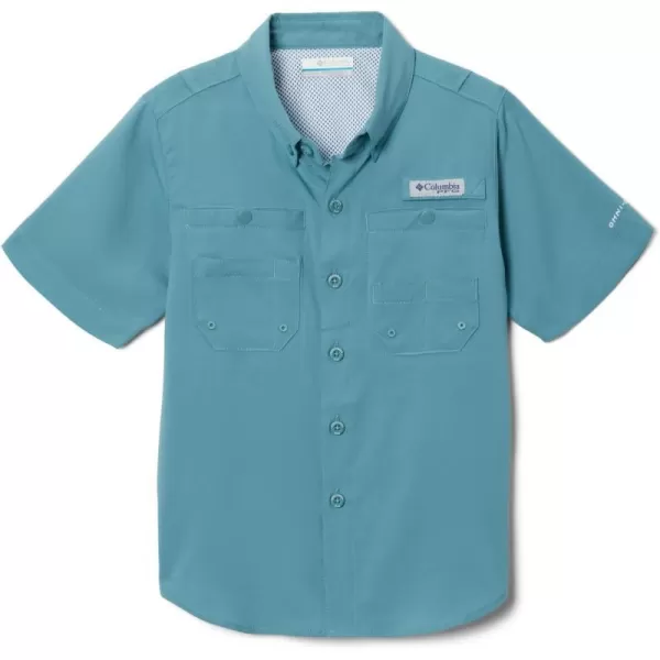 Tranquil Teal