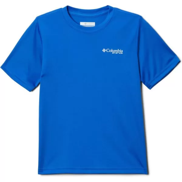 Blue Macaw/White Gradient