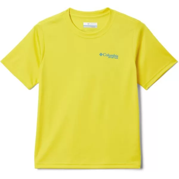 Laser Lemon/Deep Marine Gradient