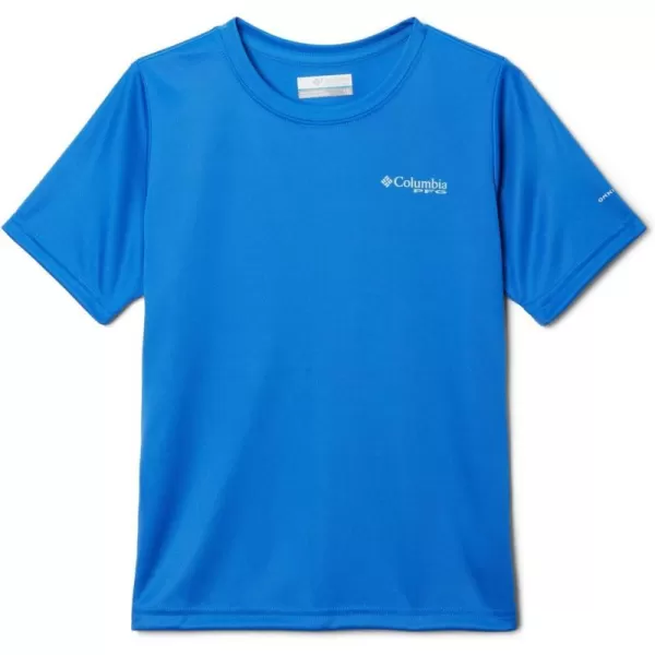 Vivid Blue/Elements Graphic