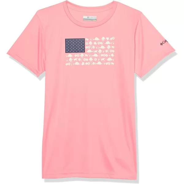 Pink Pop/Fish Friends Flag Graphic