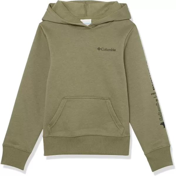 imageColumbia Kids Basin Park Graphic HoodieStone Green