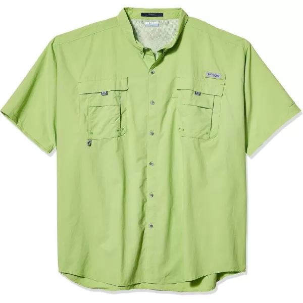 Jade Lime