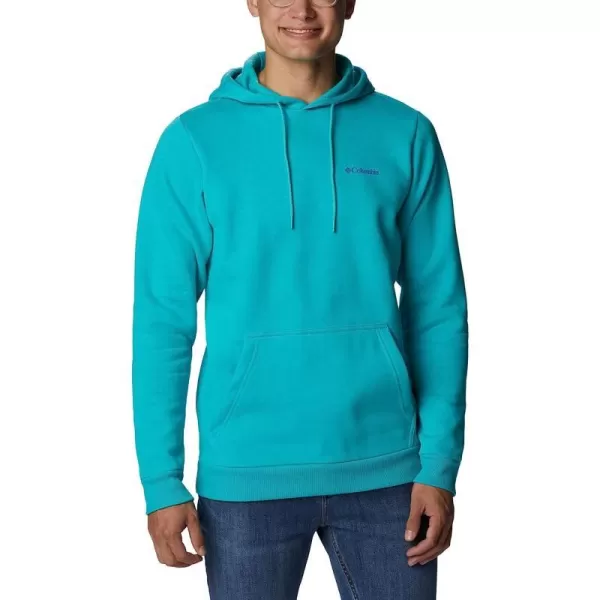 Bright Aqua/Bordered Beauty