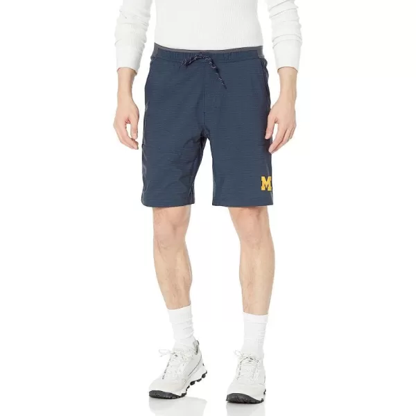 Michigan Wolverines Team Color