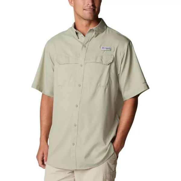 Safari