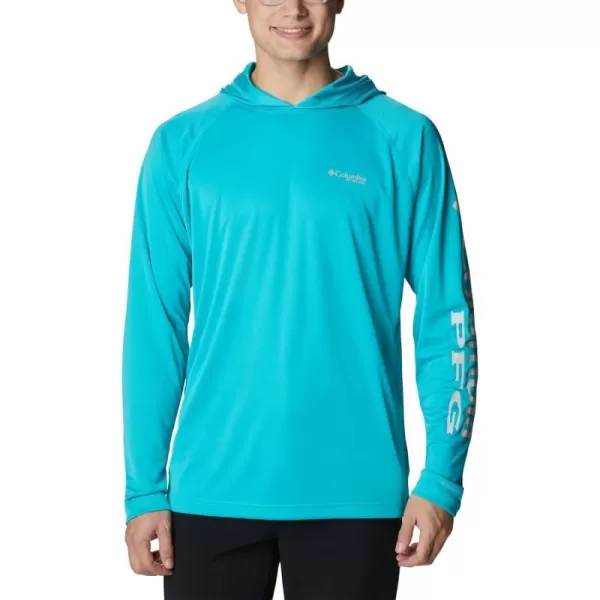 Turquoise/Cool Grey Logo