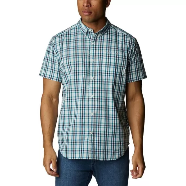 Icy Morn Everyday Gingham