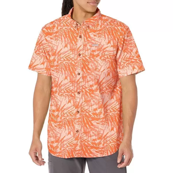 Desert Orange Dye Palms