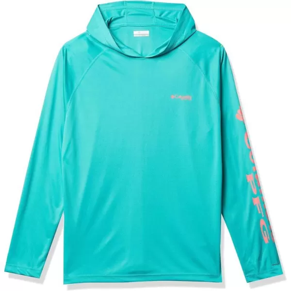 Bright Aqua/Salmon Logo