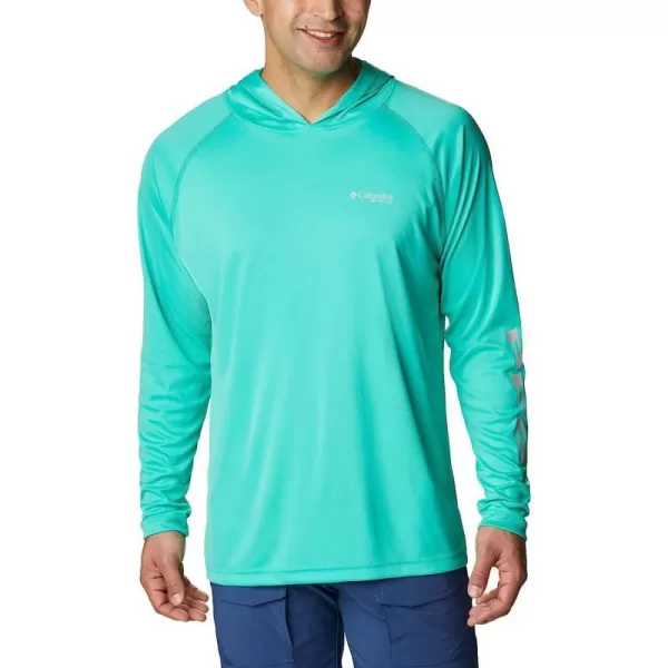 Electric Turquoise/Cool Grey Logo