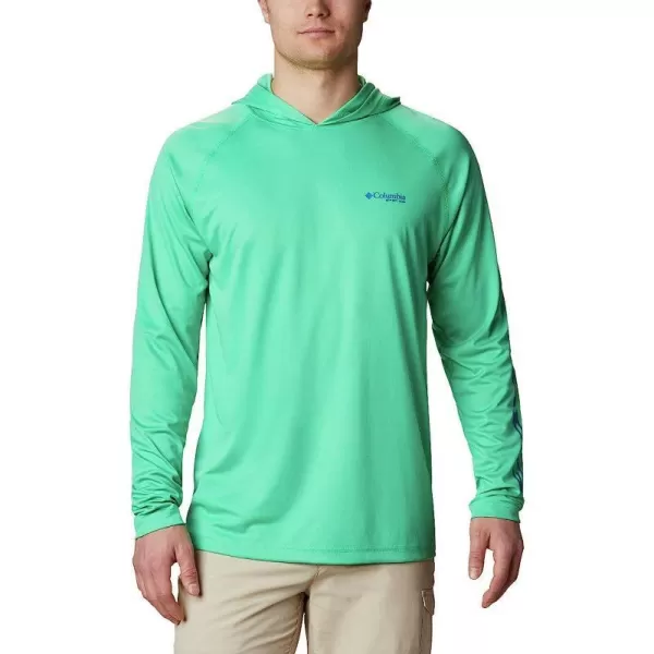 Winter Green/Vivid Blue Logo