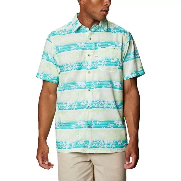 Lime Glow Ombre Fish Stripe