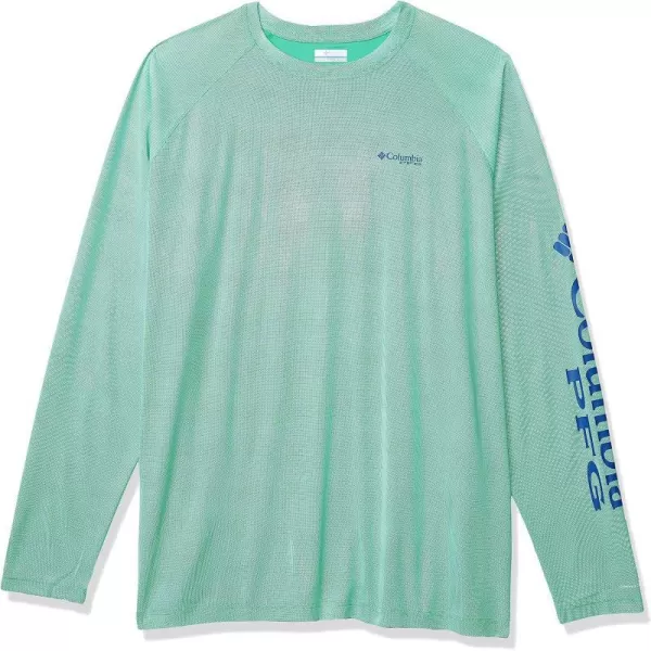 Winter Green/Vivid Blue