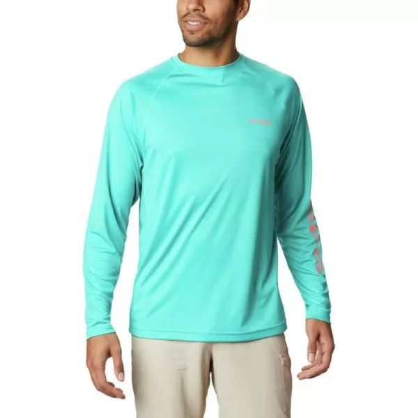 Bright Aqua/Salmon Logo