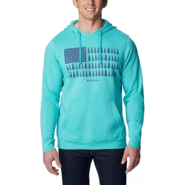 imageColumbia Mens Trek Graphic HoodieBright Aqua HeatherTreestriped Flag