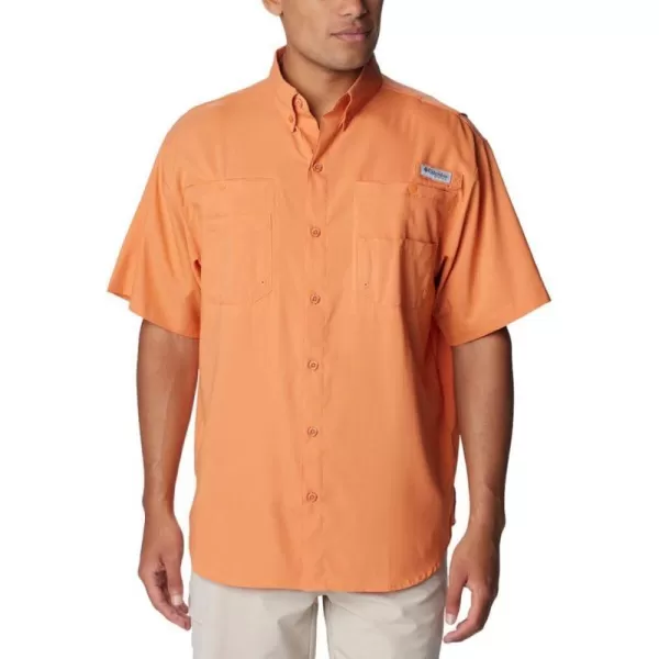 Dusty Orange