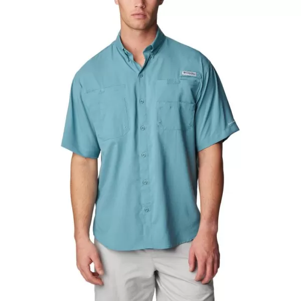 Tranquil Teal