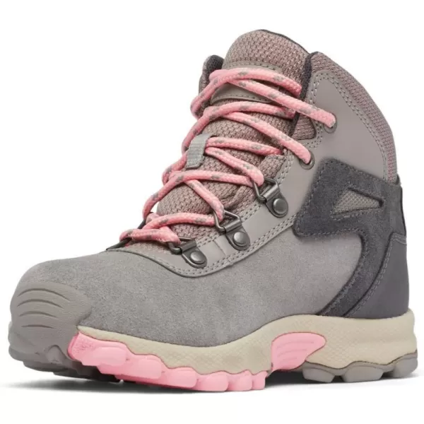 imageColumbia UnisexChild Newton Ridge Amped Hiking ShoeStratus  Pink Orchid