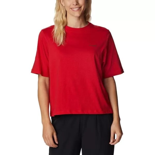 Red Spark/Pfg Triangle Fill Ombre