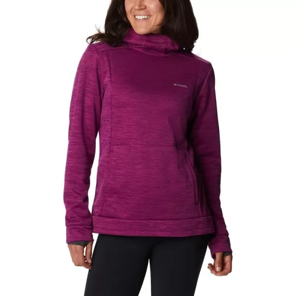 imageColumbia Womens Claudia Ridge FleeceMarionberry Heather