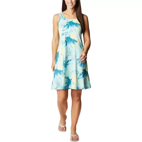 Gulf Stream/Shady Coves Print
