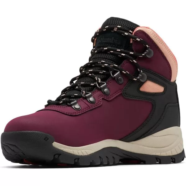 Marionberry, Black