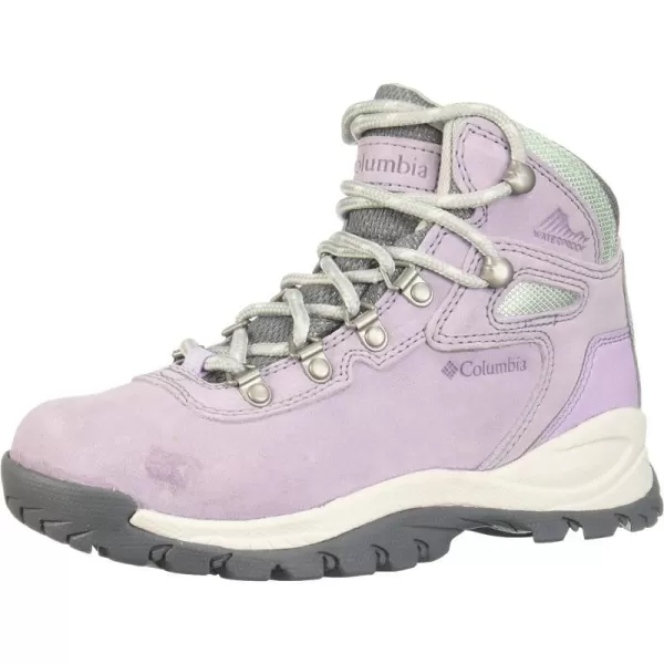 imageColumbia Womens Newton Ridge Plus Waterproof Amped Hiking BootMorning Mist  Nimbus Grey