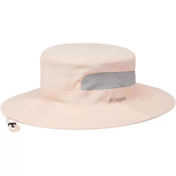 Peach Blossom