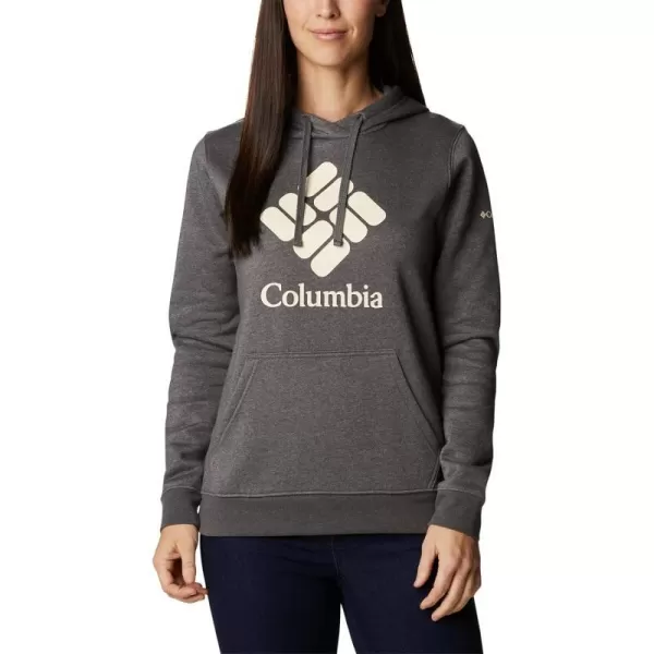imageColumbia Womens Trek Graphic HoodieCharcoal HeatherStacked Gem