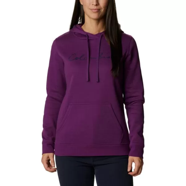 imageColumbia Womens Trek Graphic HoodiePlumScript Logo
